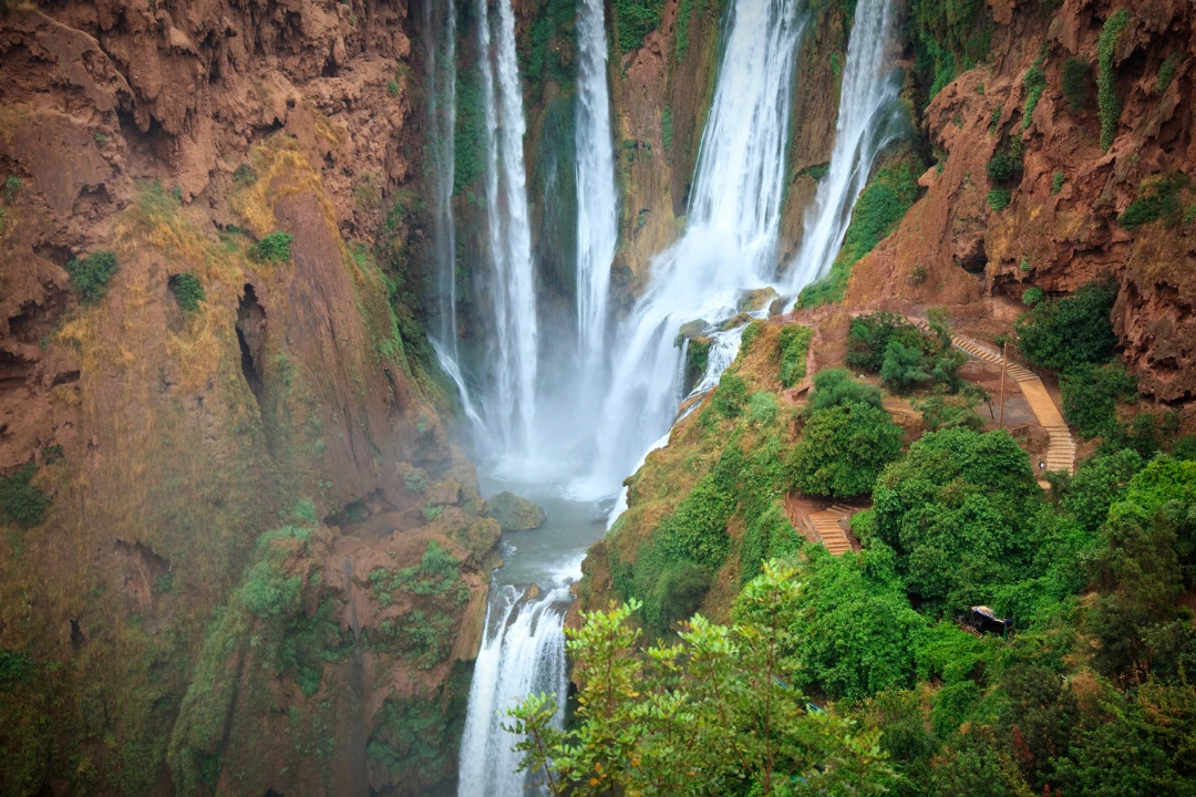 viajes de bienestar oasis de calma